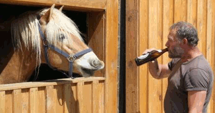 Biertrinken