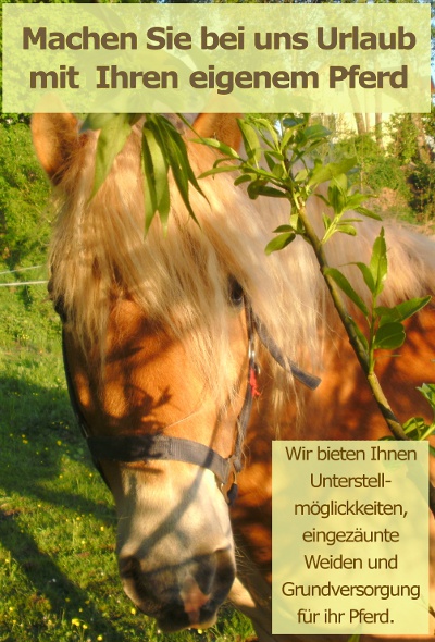 Pferdeurlaub